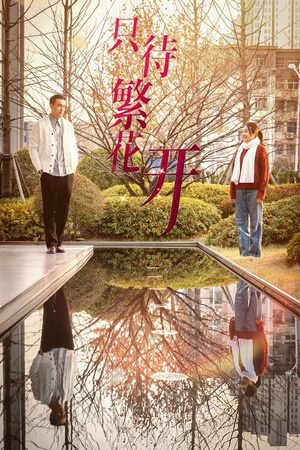 只待繁花开（35集）精彩不断免费看