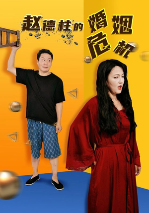 赵德柱的婚姻危机（35集）精彩连连免费看