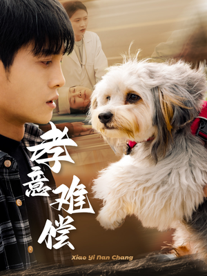 孝意难偿（32集）热门短剧分享