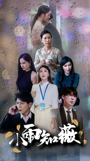 小雨知薇（80集）火爆短剧来袭