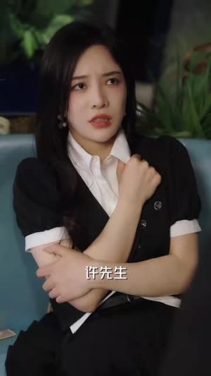 许总别来无恙（67集）红果免费短剧