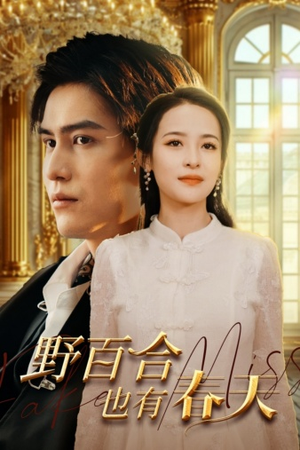 野百合也有春天（85集）最后一集