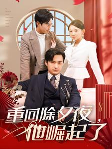 重回除夕夜他崛起了（89集）免费短剧合集