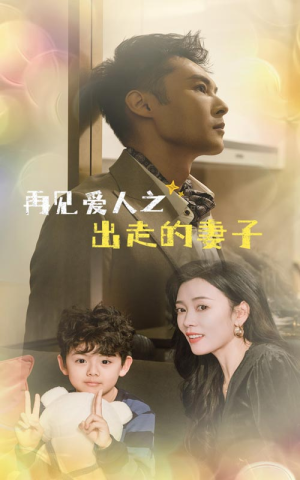再见爱人之出走的妻子（85集）短剧在线看