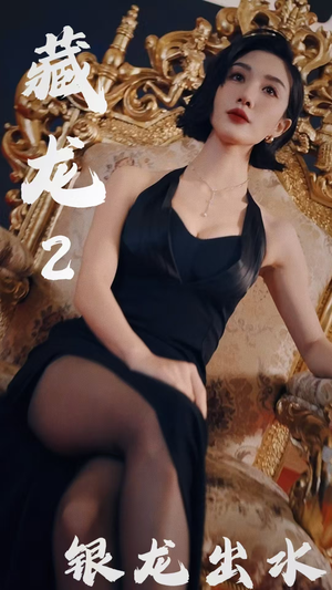 藏龙2银龙出水（35集）短剧全集免费