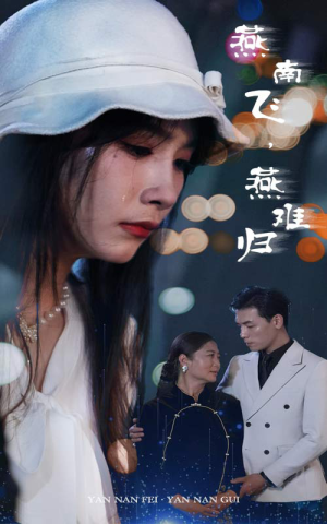 燕南飞，燕难归（31集）精彩的网络短剧