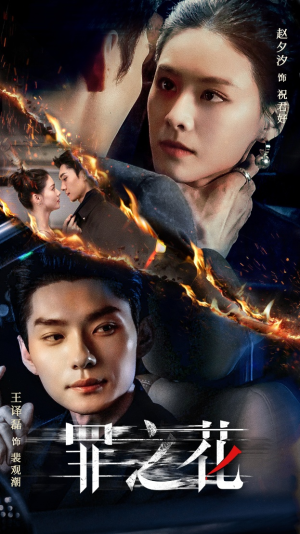 罪之花（56集）短剧热播推荐