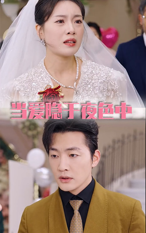 当爱隐于夜色中（37集）热门短剧免费看