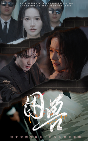 困兽（31集）每日短剧追不停