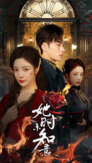 她时未知意（70集）红果短剧看全集