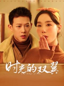 时光的双翼（94集）短剧全集更精彩