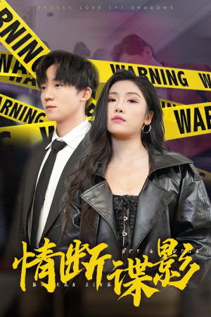 情断谍影（30集） 全集下载