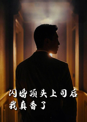 闪婚顶头上司后我真香了（80集）剧好看短剧推荐