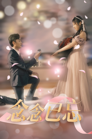 念念已忘（30集） 短剧更新抢先看