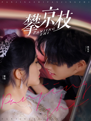 攀京枝（80集） 免费看全集