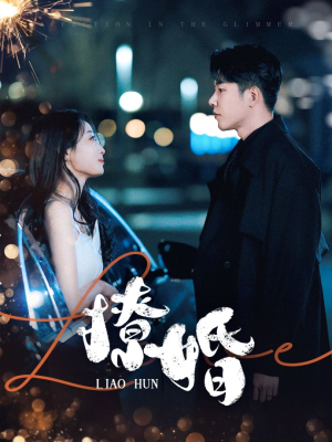 撩婚（90集） 短剧太好看了