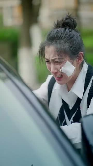 踏破荆棘向朝阳（80集） 无需会员轻松看