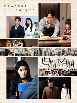 归期未有期（60集） 短剧全集免费