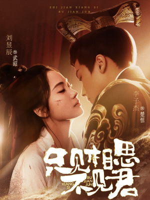 只见相思不见君（82集） 精彩短剧热播中