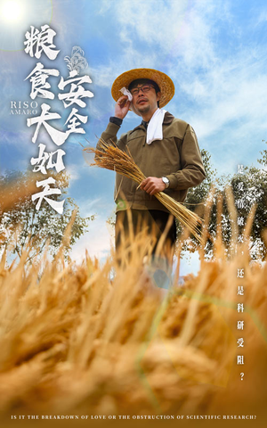 粮食安全大如天（43集） 短剧前十排行榜