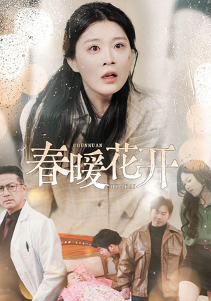 春暖花开（30集） 流畅播放免费看