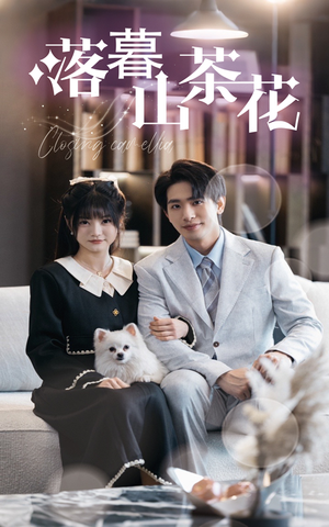 落幕山茶花（50集） 精彩不断免费看