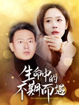 生命中的不期而遇(35集) 生命中的不期而遇(35集) 流畅播放免费看