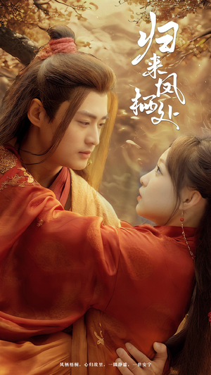 归来凤栖处（60集） 怎么看全集