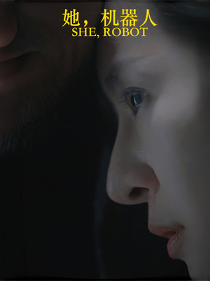 她机器人（23集）在线看到大结局
