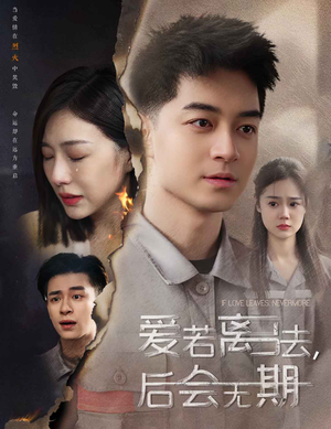 爱若离去(70集) 爱若离去(70集)甜宠短剧追到爽