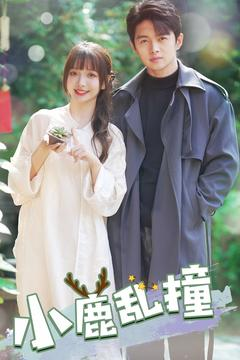 小鹿乱撞（40集） 超火短剧抢先看