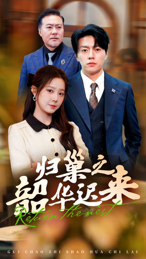 归巢之韶华迟来（62集） 在线看免费版