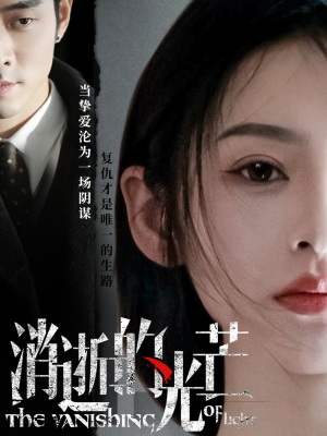 消逝的光芒（55集） 红果免费看短剧