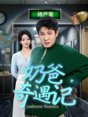 奶爸奇遇记（60集） 全集下载