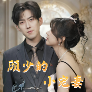 顾少的小宠妻（90集）演的怎么样