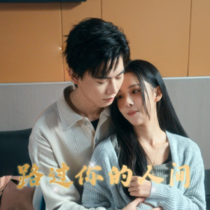 路过你的人间（31集）男频短剧推荐