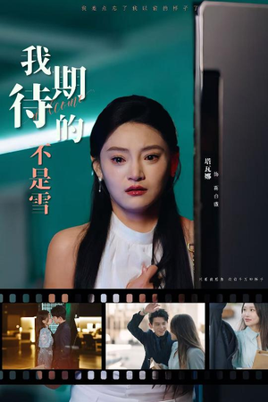 我期待的不是雪（30集）全集完整版