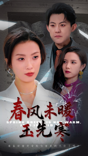 春风未暖玉先寒（32集）一共多少集