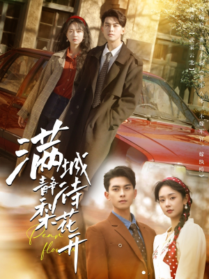 满城静待梨花开(100集) 满城静待梨花开(100集)短剧太精彩