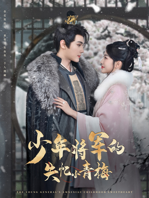 少年将军的失忆小青梅（100集）短剧