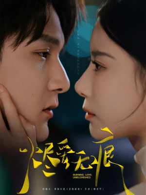 烬爱无痕（92集）好看的短剧电影