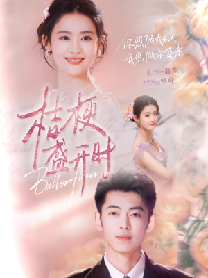 桔梗盛开时（92集）短剧热播抢先看