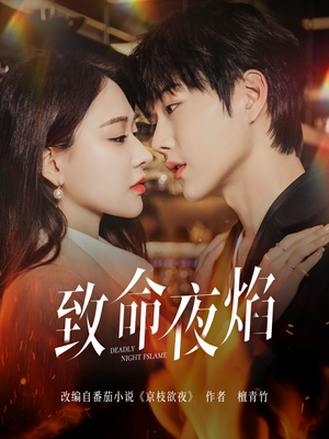 致命夜焰（80集）爆款热门短剧