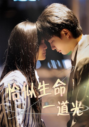 恰似生命一道光(60集) 恰似生命一道光(60集) 在线看免费版