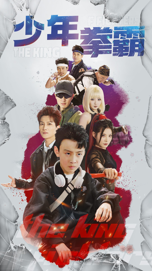 少年拳霸（60集） 百度网盘在线看