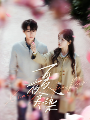 夏夜尽染（80集） 剧情简介