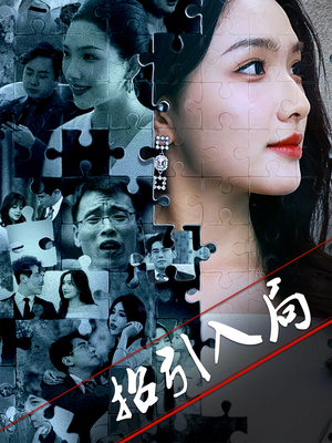 招引入局（60集） 评价怎么样