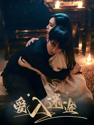 爱入迷途（67集）完整版免费观看