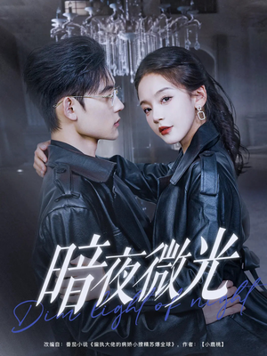 暗夜微光（86集）热播短剧排行榜