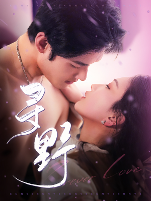 寻野（100集）百度网盘资源